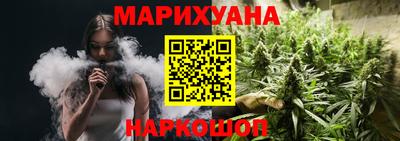 МДПВ Протвино