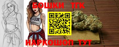 МДПВ Протвино