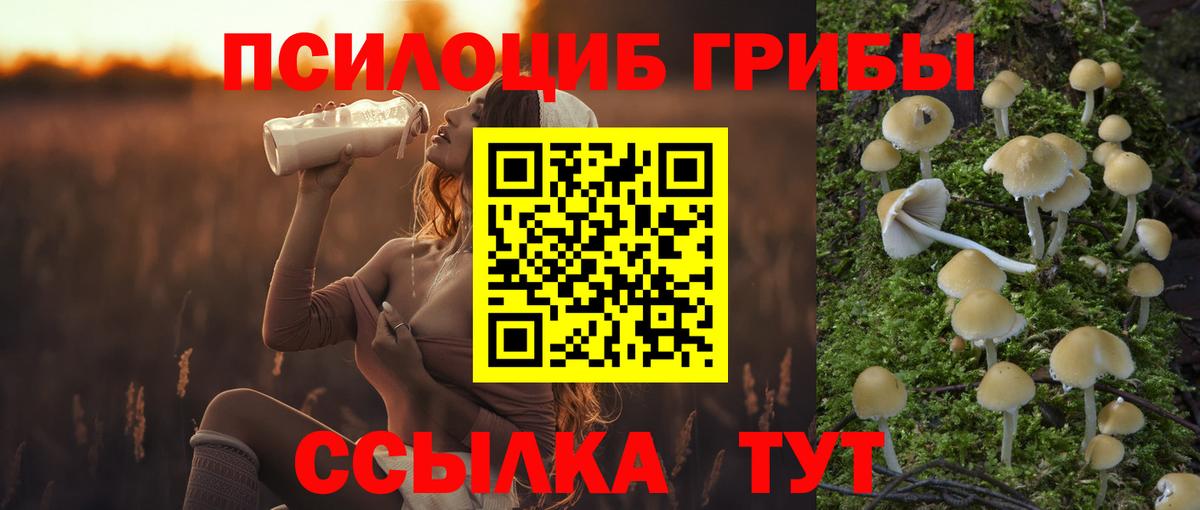 Галлюциногенные грибы прущие грибы Волгодонск